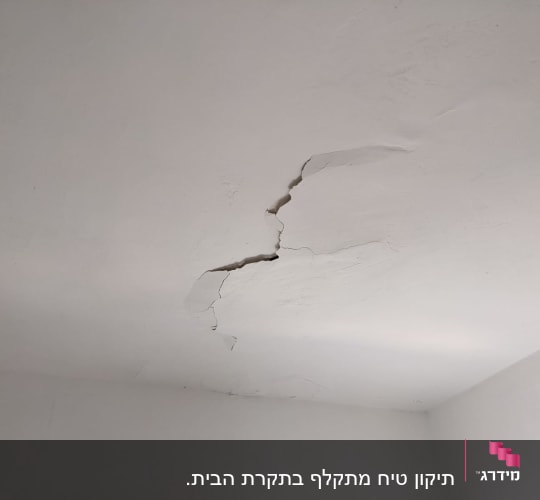 לפני